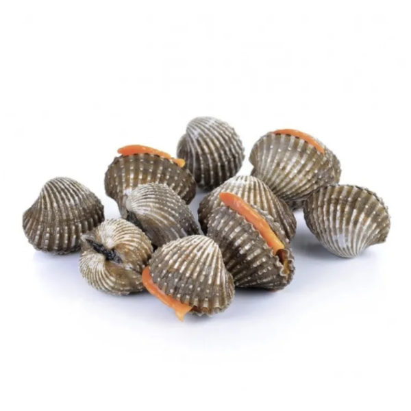 加料 Add On血蛤 clam