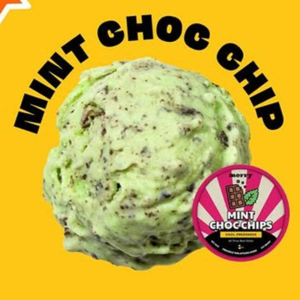 Mint Choc Chip