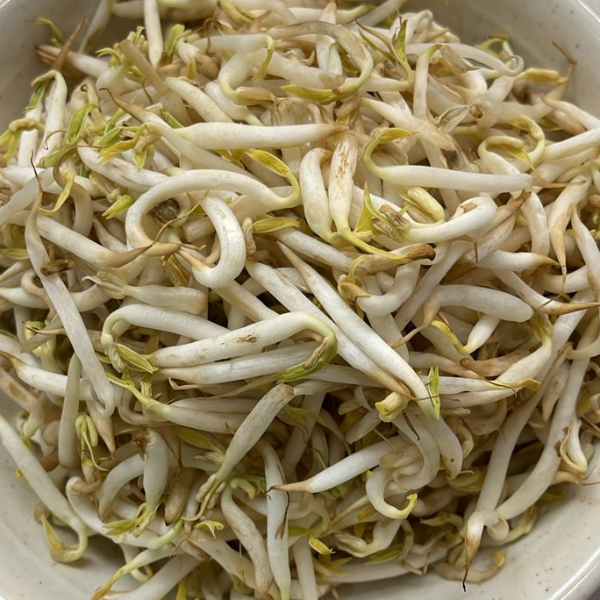 1. 不要豆芽