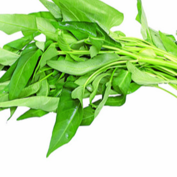 2. 不要蕹菜